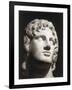 Marble Head of Alexander the Great-null-Framed Giclee Print