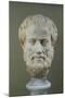 Marble Head of Aristotle (384-322 BC )-null-Mounted Giclee Print