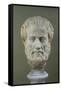 Marble Head of Aristotle (384-322 BC )-null-Framed Stretched Canvas