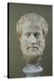 Marble Head of Aristotle (384-322 BC )-null-Stretched Canvas