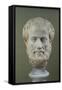 Marble Head of Aristotle (384-322 BC )-null-Framed Stretched Canvas