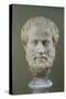 Marble Head of Aristotle (384-322 BC )-null-Stretched Canvas