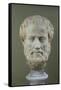 Marble Head of Aristotle (384-322 BC )-null-Framed Stretched Canvas