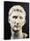 Marble Head of Emperor Augustus-null-Stretched Canvas