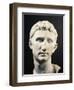 Marble Head of Emperor Augustus-null-Framed Giclee Print