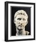 Marble Head of Emperor Augustus-null-Framed Giclee Print