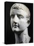 Marble Head of Emperor Tiberius, Artifact Uncovered in Pergamon, Turkey-null-Stretched Canvas