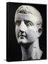 Marble Head of Emperor Tiberius, Artifact Uncovered in Pergamon, Turkey-null-Framed Stretched Canvas