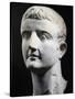 Marble Head of Emperor Tiberius, Artifact Uncovered in Pergamon, Turkey-null-Stretched Canvas