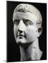Marble Head of Emperor Tiberius, Artifact Uncovered in Pergamon, Turkey-null-Mounted Giclee Print
