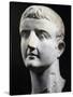 Marble Head of Emperor Tiberius, Artifact Uncovered in Pergamon, Turkey-null-Stretched Canvas