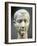 Marble Head of Julius Caesar-null-Framed Giclee Print