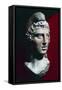 Marble Head of Mithras, Artifact Uncovered in Temple of Mithras in Walbrook, England-null-Framed Stretched Canvas