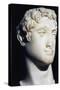 Marble Head of Ptolemy Vi Philometor, Ptolemaic Kingdom, Hellenistic Era BC-null-Stretched Canvas