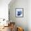 Marble Indigo Snail 2-Albert Koetsier-Framed Stretched Canvas displayed on a wall