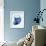 Marble Indigo Snail 2-Albert Koetsier-Framed Photo displayed on a wall