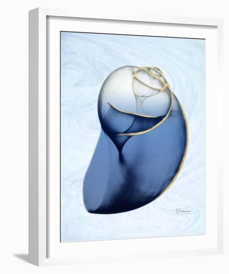 Marble Indigo Snail 2-Albert Koetsier-Framed Photo