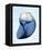 Marble Indigo Snail 2-Albert Koetsier-Framed Stretched Canvas