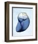 Marble Indigo Snail 2-Albert Koetsier-Framed Photo