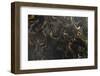 Marble Ink Paper Texture Black Grey Gold-Marion Stephan-Framed Photographic Print