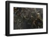 Marble Ink Paper Texture Black Grey Gold-Marion Stephan-Framed Photographic Print