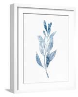 Marble Leaf 2-Allen Kimberly-Framed Art Print