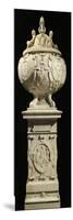 Marble Monument with Heart of King of France Francis I-Pierre Bontemps-Mounted Giclee Print