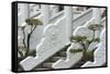 Marble railings in Confucius Temple, Taichung, Taiwan-Keren Su-Framed Stretched Canvas