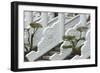 Marble railings in Confucius Temple, Taichung, Taiwan-Keren Su-Framed Photographic Print