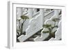 Marble railings in Confucius Temple, Taichung, Taiwan-Keren Su-Framed Photographic Print