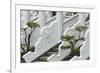 Marble railings in Confucius Temple, Taichung, Taiwan-Keren Su-Framed Photographic Print