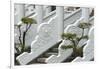 Marble railings in Confucius Temple, Taichung, Taiwan-Keren Su-Framed Photographic Print