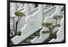 Marble railings in Confucius Temple, Taichung, Taiwan-Keren Su-Framed Photographic Print