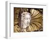 Marble Sculpture Depicting Head of St John the Baptist-Pierre Puget-Framed Giclee Print