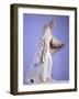 Marble Sculpture Representing Athena-null-Framed Giclee Print