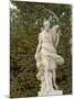 Marble Statue in Gardens, Versailles, France-Lisa S. Engelbrecht-Mounted Photographic Print