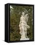 Marble Statue in Gardens, Versailles, France-Lisa S. Engelbrecht-Framed Stretched Canvas