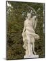 Marble Statue in Gardens, Versailles, France-Lisa S. Engelbrecht-Mounted Photographic Print