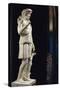 Marble Statue of Antino of Aristeas Greek God of Gardens-null-Stretched Canvas