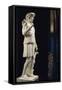 Marble Statue of Antino of Aristeas Greek God of Gardens-null-Framed Stretched Canvas