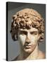 Marble Statue of Antinous-null-Stretched Canvas