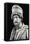 Marble Statue of Antonio Demetino Diogenes-null-Framed Stretched Canvas