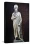 Marble Statue of Antonio Demetino Diogenes-null-Stretched Canvas