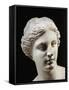 Marble Statue of Aphrodite of Milos known as "Venus De Milo" from the Island of Milos, Greece-null-Framed Stretched Canvas