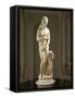 Marble Statue of Capitoline Venus, Copy of Original by Praxiteles, from Rome-null-Framed Stretched Canvas