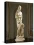 Marble Statue of Capitoline Venus, Copy of Original by Praxiteles, from Rome-null-Stretched Canvas