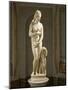 Marble Statue of Capitoline Venus, Copy of Original by Praxiteles, from Rome-null-Mounted Giclee Print