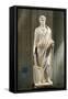 Marble Statue of Emperor Augustus-null-Framed Stretched Canvas