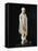 Marble Statue of Ephebe Athlete Wrapped in Chlamys, from Aydin-null-Framed Stretched Canvas