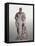 Marble Statue of Farnese Hercules-null-Framed Stretched Canvas